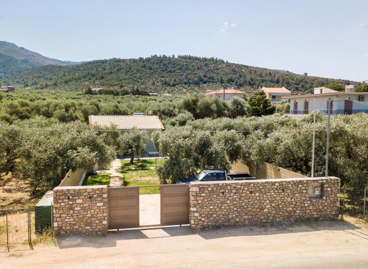 Villa 4 You Iliopetra Skala Sotiros Bagian luar foto